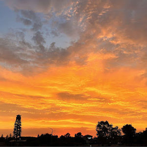 Meet your Posher, Aubriella